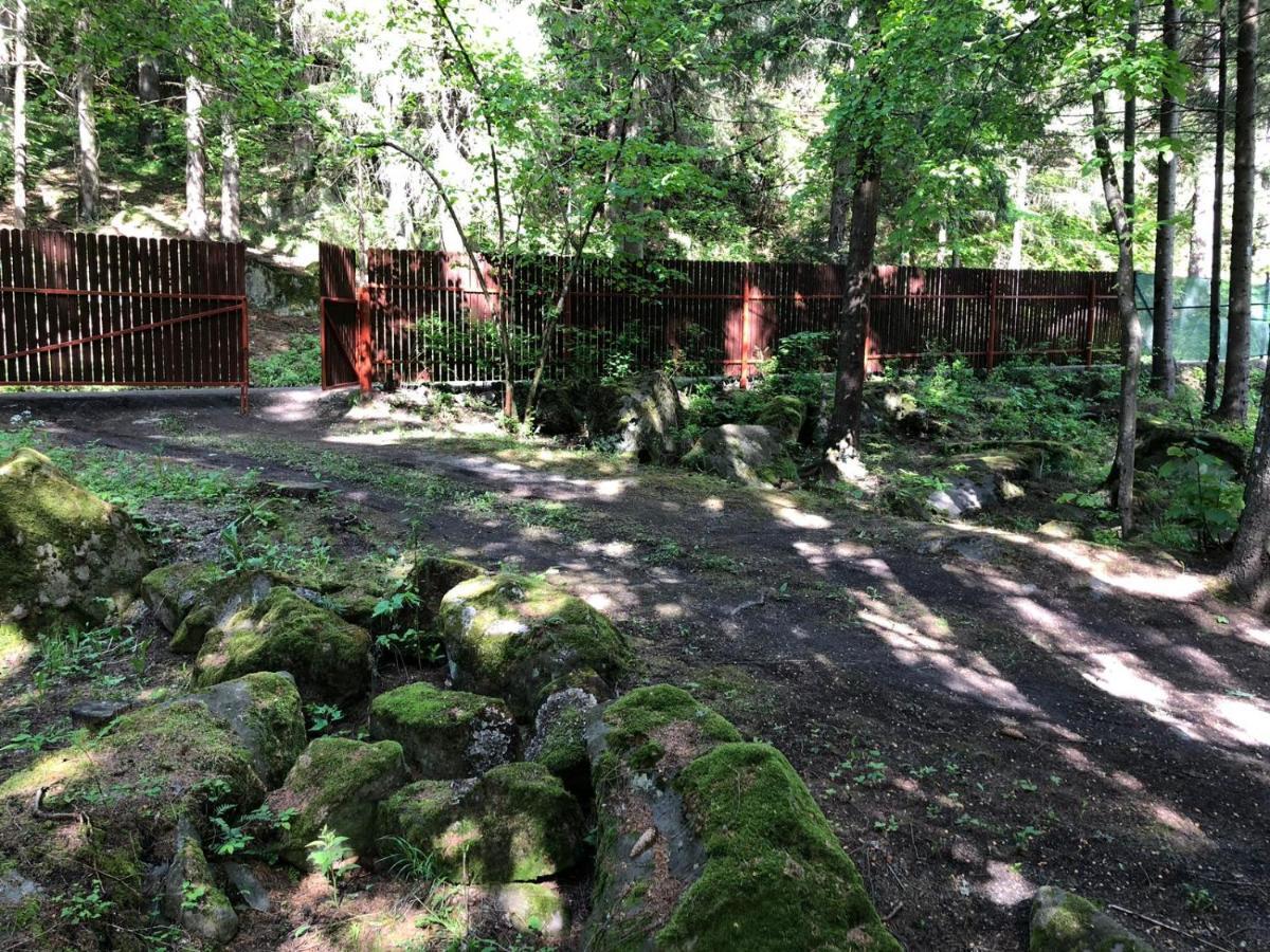 Forest Cottage Weekend House Vlahita Exterior foto